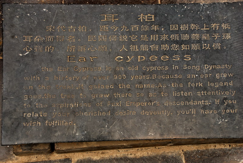 dsc_8276.jpg