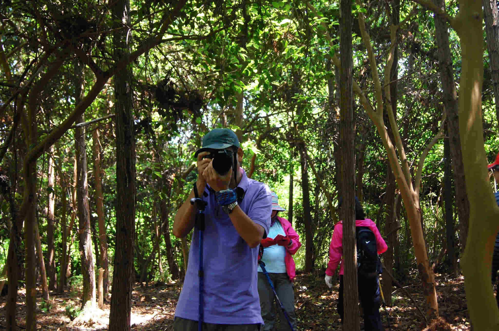dsc06095 -  - .jpg