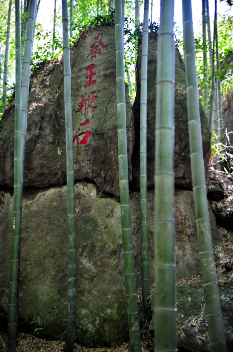 _dsc9863.jpg