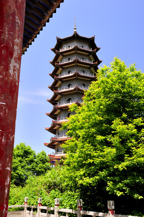 _dsc9793.jpg