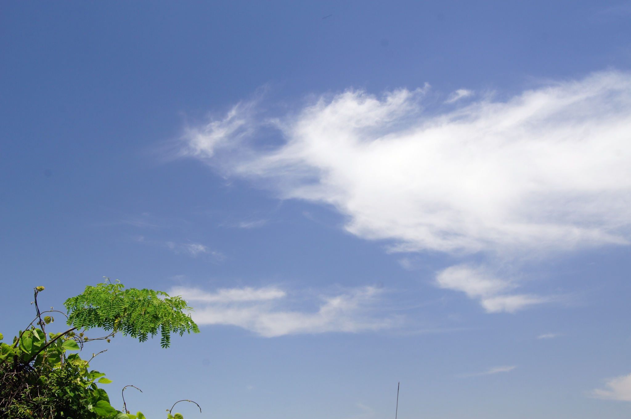 dsc06107 -  - .jpg