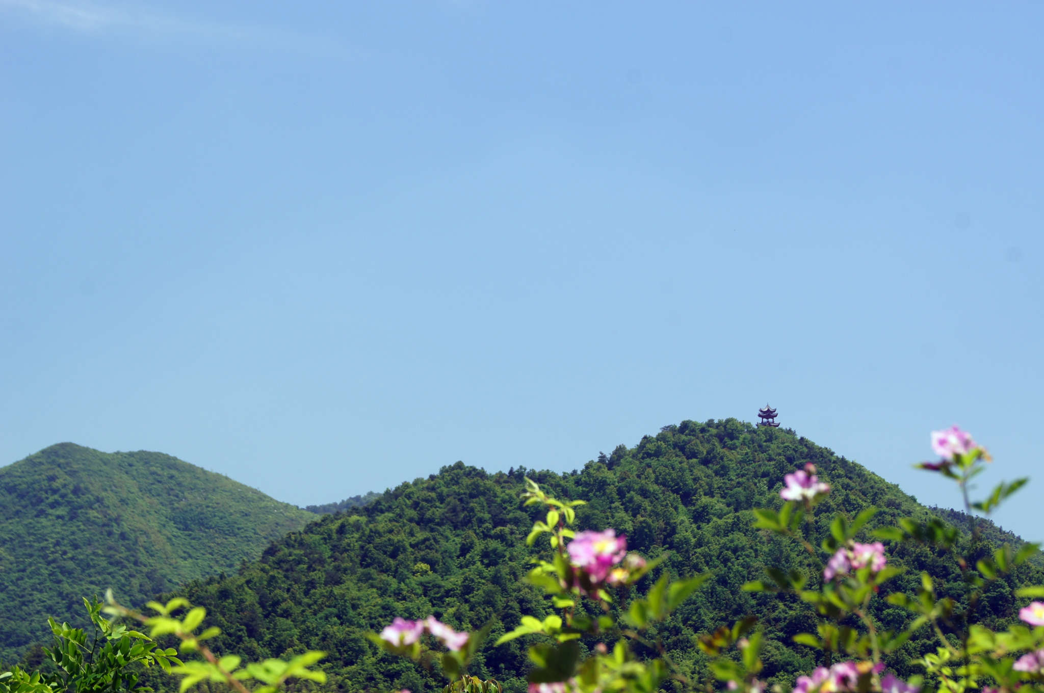 dsc06108 -  - .jpg