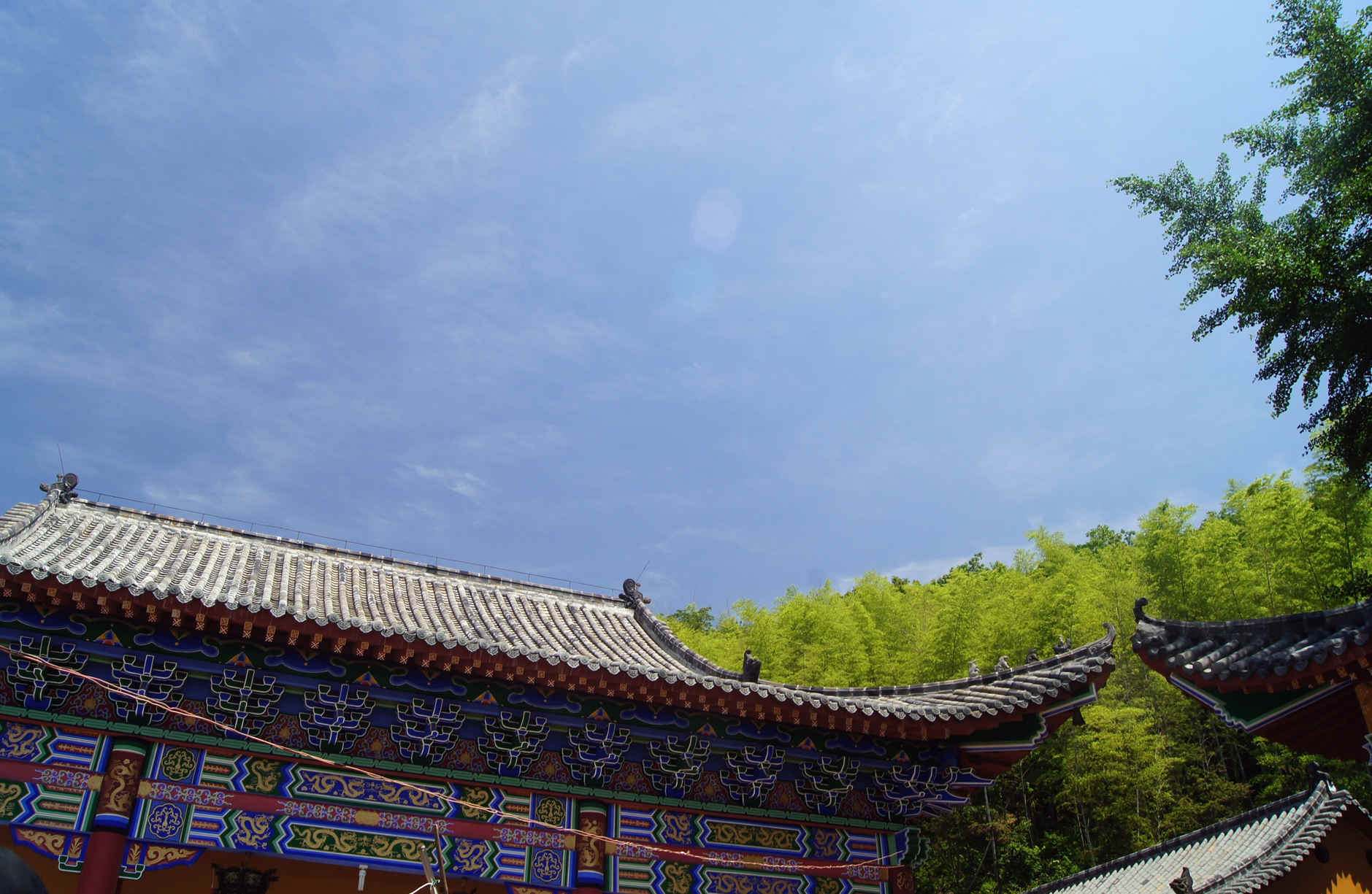 dsc06114 -  - .jpg