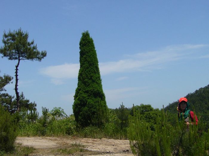37.jpg
