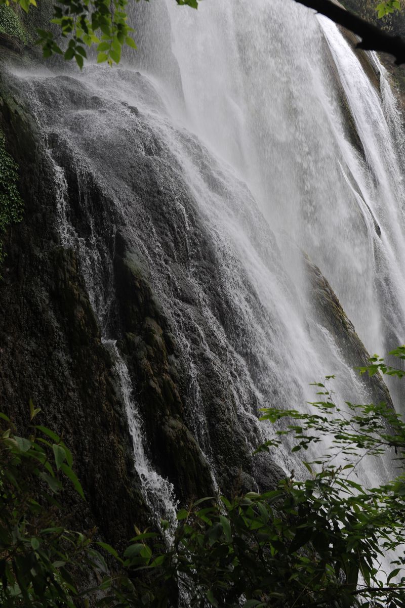 dsc_8649.jpg