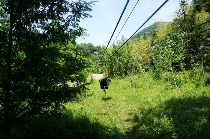 dsc01874_.jpg