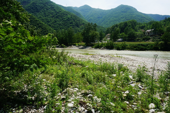 dsc01877_.jpg