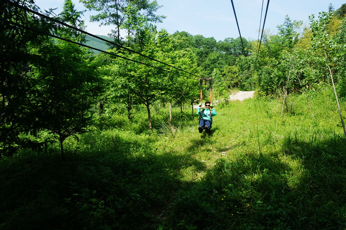 dsc01884_.jpg