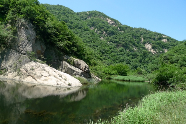 p1040380-1.jpg