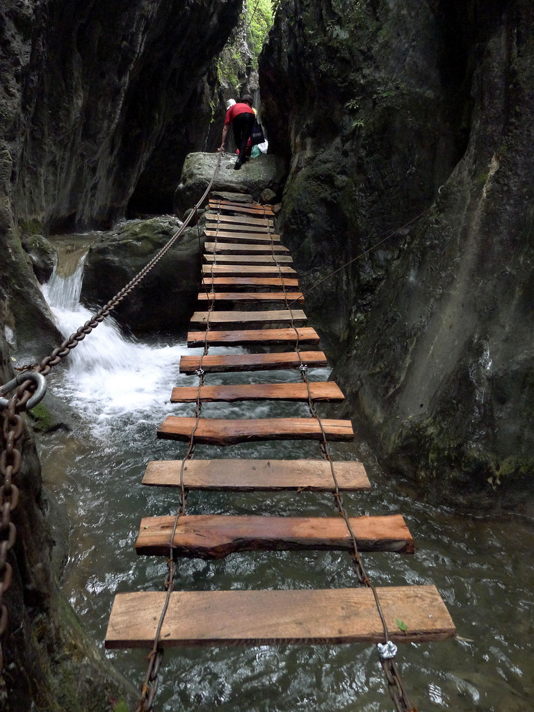 p1210462_.jpg