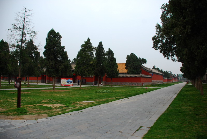 dsc_8351.jpg