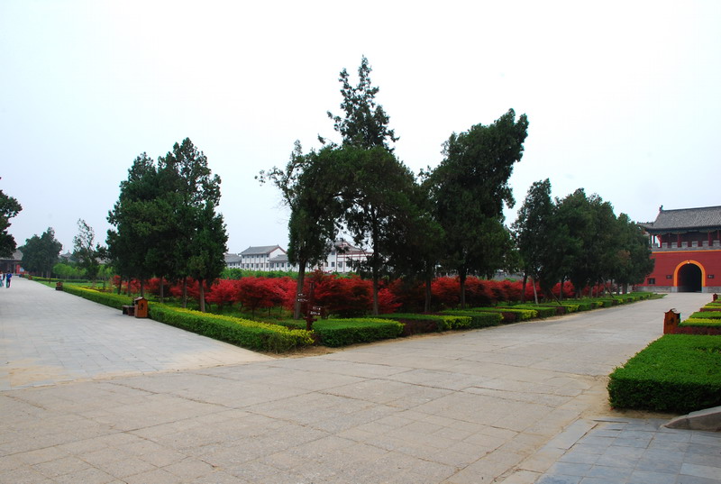 dsc_8379.jpg