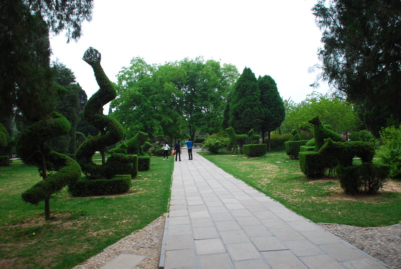 dsc_8387.jpg