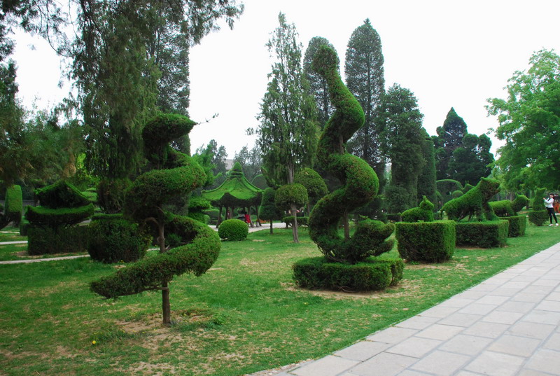 dsc_8388.jpg