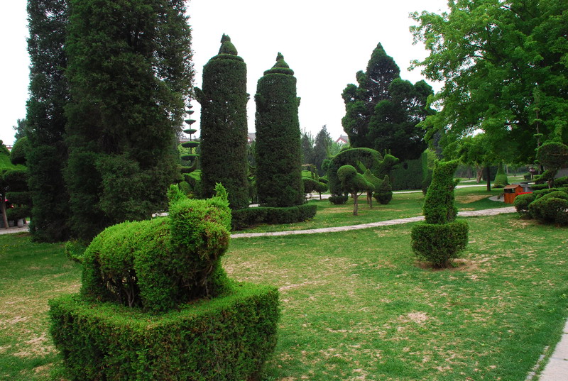 dsc_8397.jpg