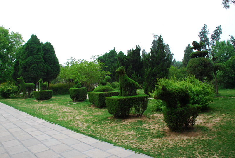 dsc_8389.jpg