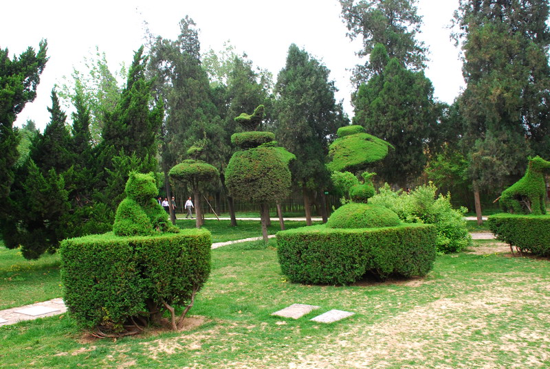 dsc_8398.jpg