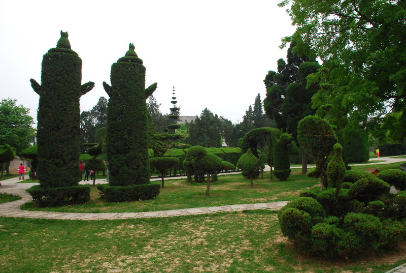 dsc_8399.jpg