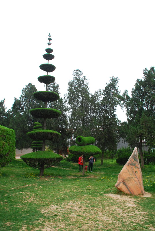 dsc_8409.jpg
