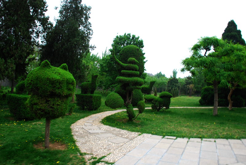 dsc_8414.jpg