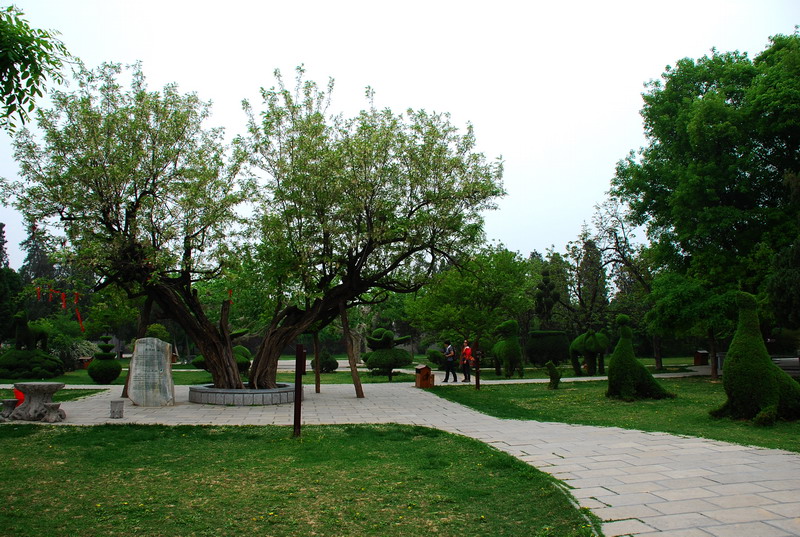 dsc_8418.jpg