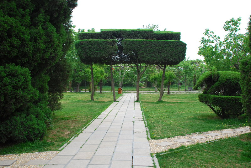 dsc_8421.jpg