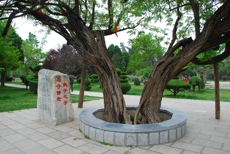 dsc_8422.jpg