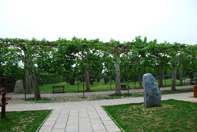 dsc_8433.jpg