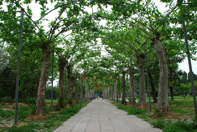 dsc_8438.jpg