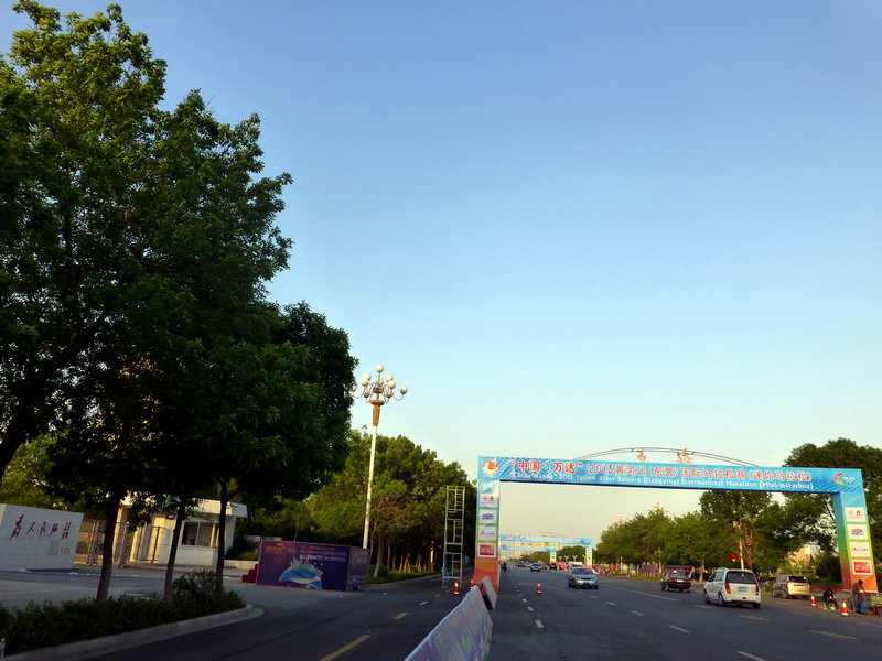 p1060969.jpg