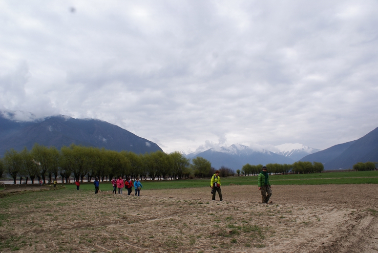 dsc04164.jpg