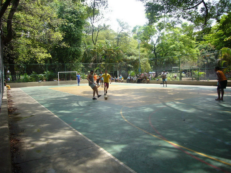 p1040280.jpg