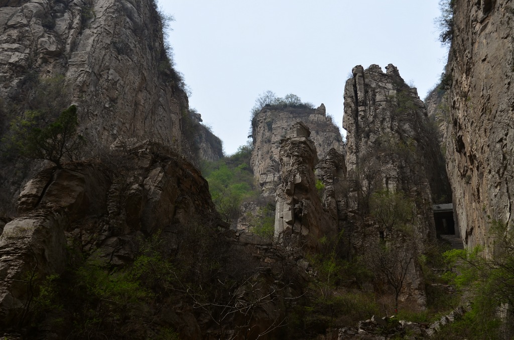 dsc_0731.jpg