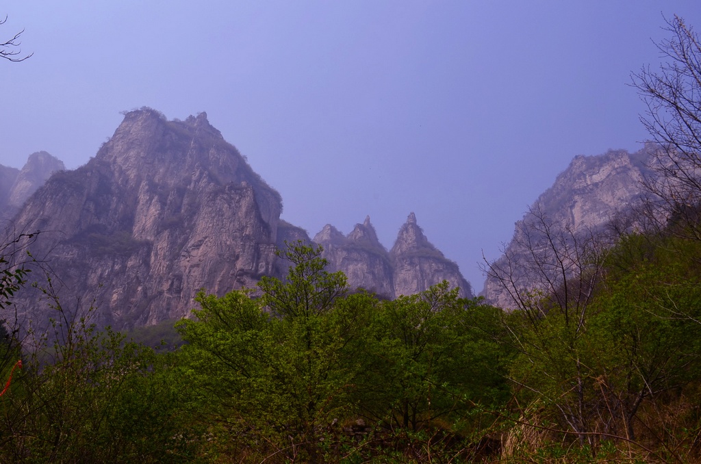 dsc_0528.jpg