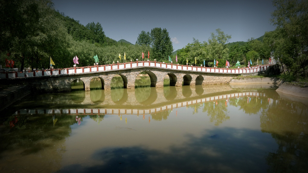 p1210550___.jpg