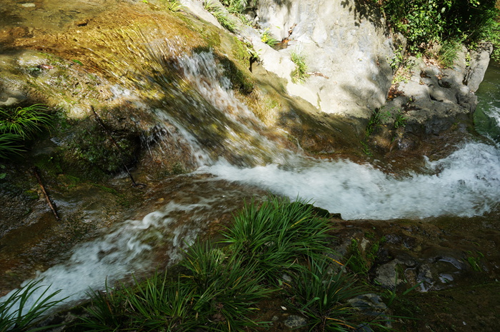 dsc01943_.jpg
