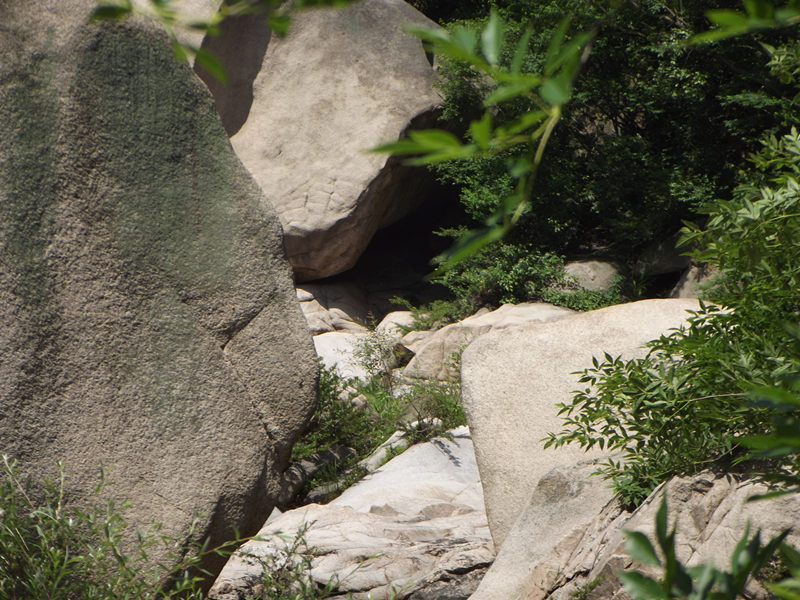 dscf2028_.jpg