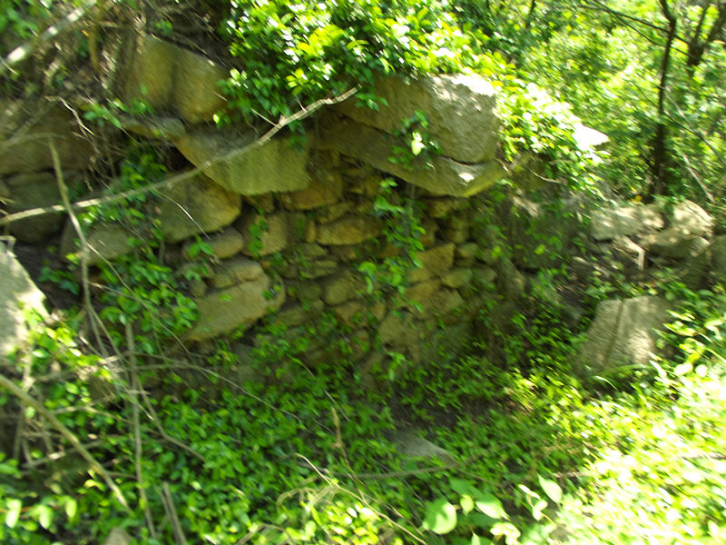 dscf2030_.jpg