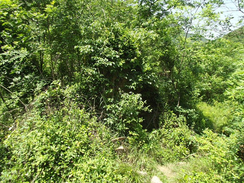 dscf2031_.jpg