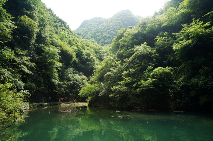 dsc01927_.jpg
