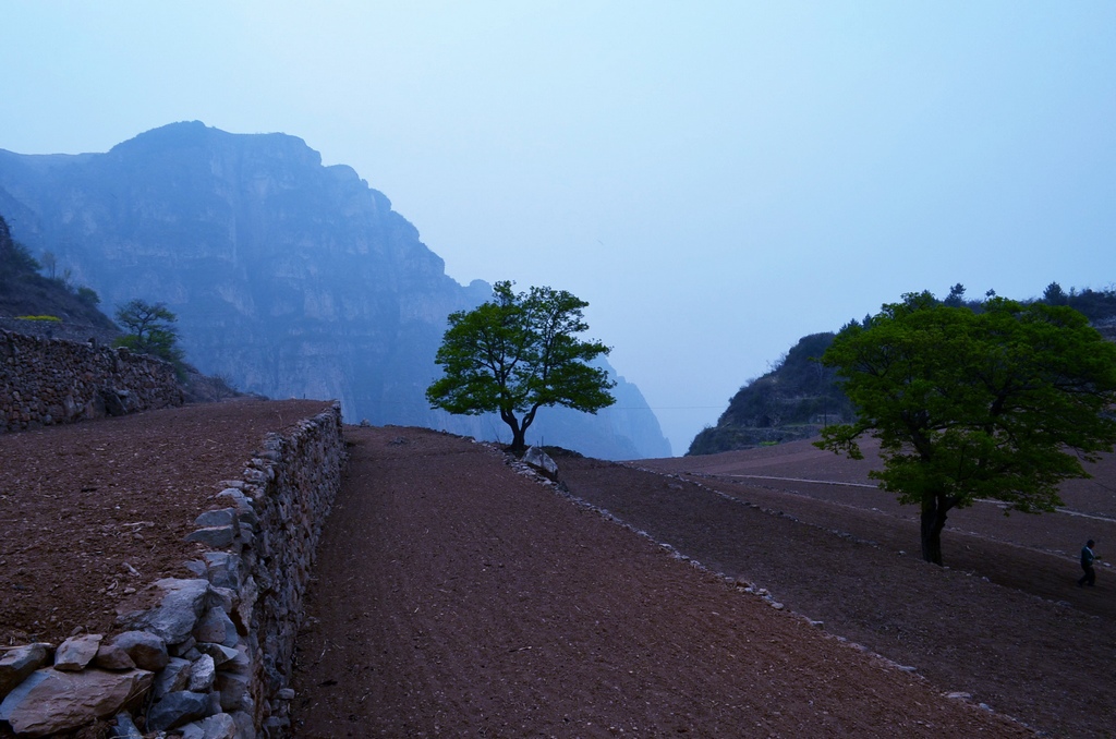 dsc_0595.jpg