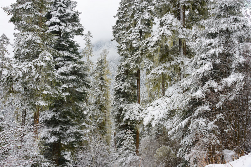 dsc_9224_36.jpg
