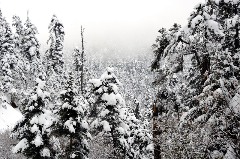 dsc_9240_37.jpg