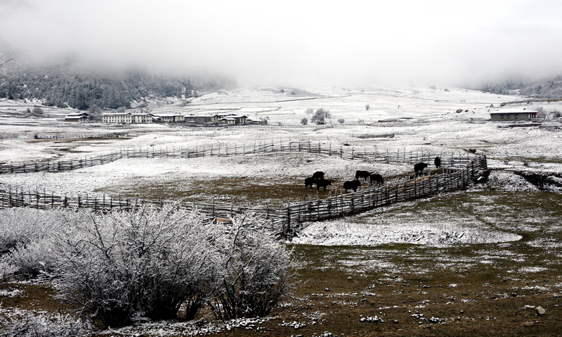 dsc_9068_21.jpg