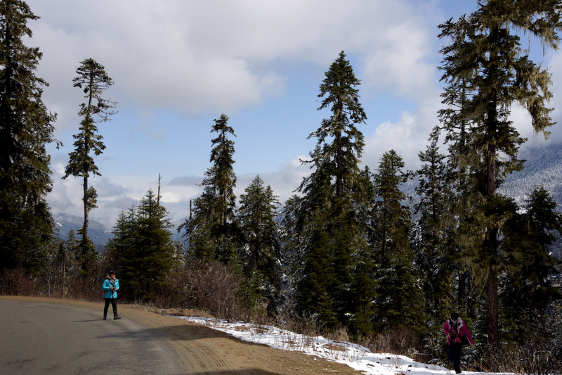 dsc_9263_40.jpg