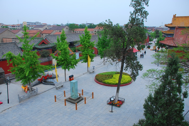 dsc_8516.jpg