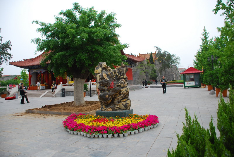 dsc_8544.jpg