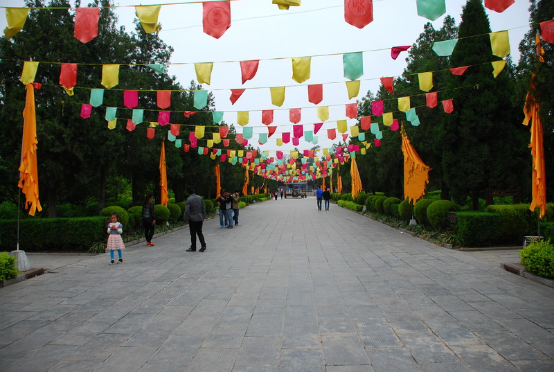 dsc_8573.jpg