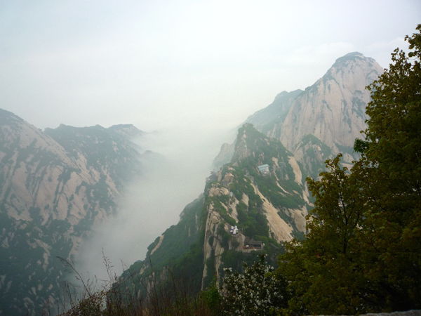 p1190383_.jpg