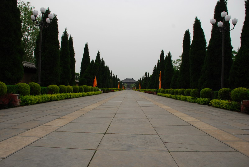 dsc_8650.jpg